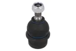 REINHOCH  Kande-/juhtliigend RH03-3008