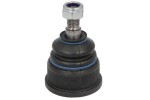 REINHOCH  Kande-/juhtliigend RH03-3010