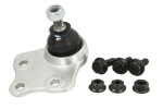 REINHOCH  Kande-/juhtliigend RH03-3017