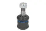 REINHOCH  Kande-/juhtliigend RH03-3024