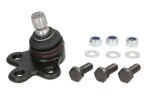 REINHOCH  Kande-/juhtliigend RH03-5019