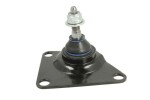 REINHOCH  Kande-/juhtliigend RH03-6006