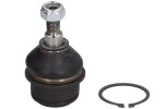 REINHOCH  Kande-/juhtliigend RH03-6009