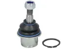 REINHOCH Kande-/juhtliigend šarniir RH03-6012