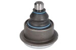 REINHOCH Kande-/juhtliigend šarniir RH03-6013