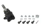 REINHOCH  Kande-/juhtliigend RH03-6014