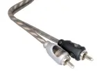 Rockford Fosgate RFI-10