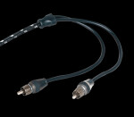 Rockford Fosgate RFIT-10