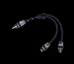 Rockford Fosgate RFITY-1M