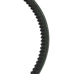 RIDEX Kiilrihmad 10C0123
