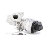 RIDEX EGR-klapp 1145E0029