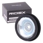 RIDEX Vedruamordi tugilaager 0,  25l 1180S1172
