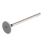 RIDEX Väljalaskeventiil 1270O0003