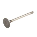RIDEX Väljalaskeklapp 1270O0019