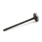RIDEX Väljalaskeklapp 1270O0021