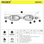 RIDEX Veovõll 13D0379