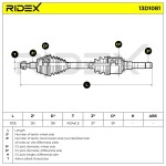 RIDEX Veovõll 13D1081
