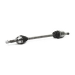 RIDEX Veovõll 13D1196