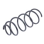 RIDEX vedru 188C0017