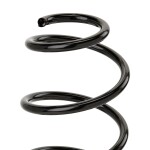 RIDEX vedru 188C0066