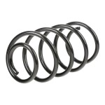 RIDEX vedru 188C0091