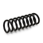 RIDEX vedru 188C0212