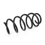 RIDEX vedru 188C0217