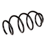 RIDEX vedru 188C0321