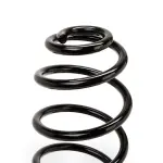 RIDEX vedru 188C0342
