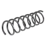 RIDEX vedru 188C0348