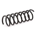 RIDEX vedru 188C0379