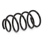 RIDEX vedru 188C0392