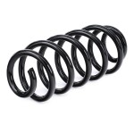 RIDEX vedru 188C0410