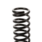 RIDEX vedru 188C0449