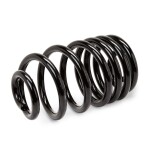 RIDEX vedru 188C0471
