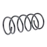 RIDEX vedru 188C0479