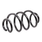RIDEX vedru 188C0491