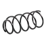 RIDEX vedru 188C0506