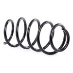 RIDEX vedru 188C0522