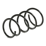 RIDEX vedru 188C0566