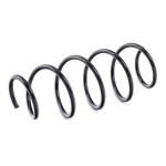 RIDEX vedru 188C0567