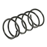 RIDEX vedru 188C0605