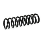 RIDEX vedru 188C0796