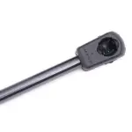 RIDEX Gaasivedru, pagasi-/veoruum 219G0026