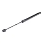 RIDEX luugiamort,  pagasi-/veoruum 219G0027