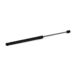RIDEX luugiamort,  pagasi-/veoruum 219G0161