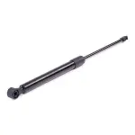 RIDEX luugiamort,  pagasi-/veoruum 219G0280