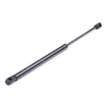RIDEX luugiamort,  pagasi-/veoruum 219G0313