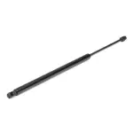 RIDEX luugiamort,  pagasi-/veoruum 219G0368