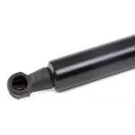 RIDEX luugiamort,  pagasi-/veoruum 219G0567